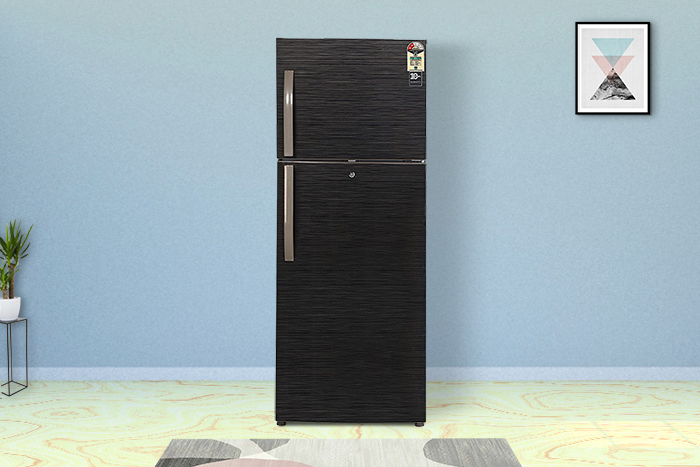 TR Double Door Refrigerator 240 to 260 Liters